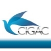 CIGAC 2013 Airshow